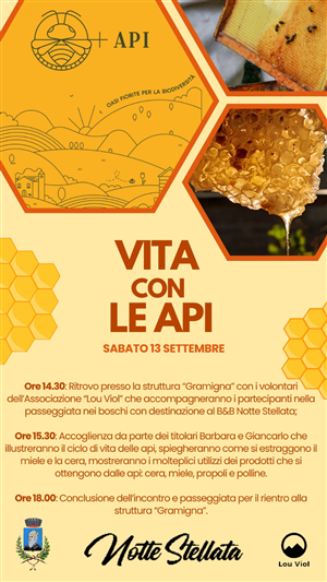 Vita con le api